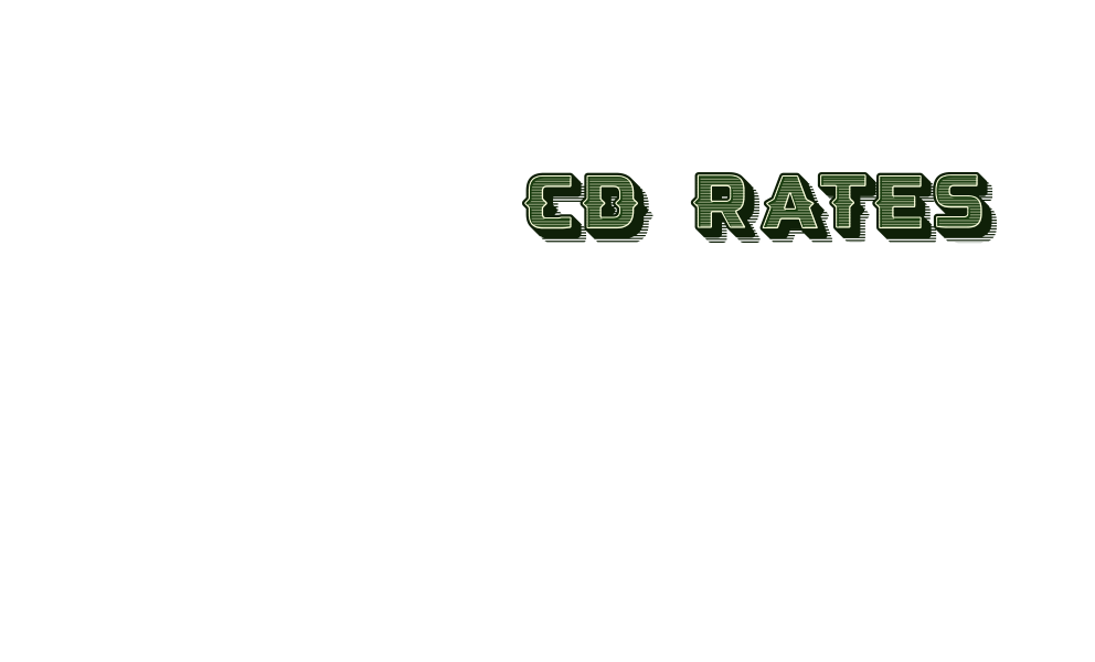 CD Rates. Let your money work for you. 19 month CD: 4.85% APY.