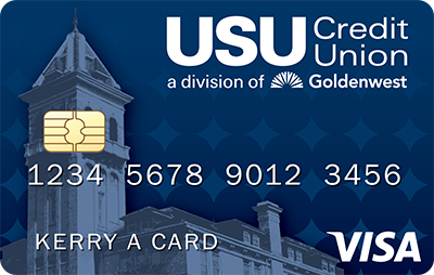 Visa Basic Credit Card