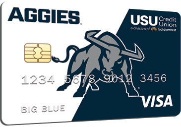 Visa Debit Card