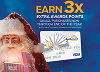 Maximize Visa Rewards Points